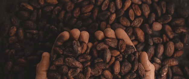 」东鹏2025三季度营收同比增长3036%一周热闻AG真人康师傅×疯狂动物城上新「冻冻茶冰红茶味果冻(图9) 」东鹏2025三季度营收同比增长3036%一周热闻AG真人康师傅×疯狂动物城上新「冻冻茶冰红茶味果冻(图9)