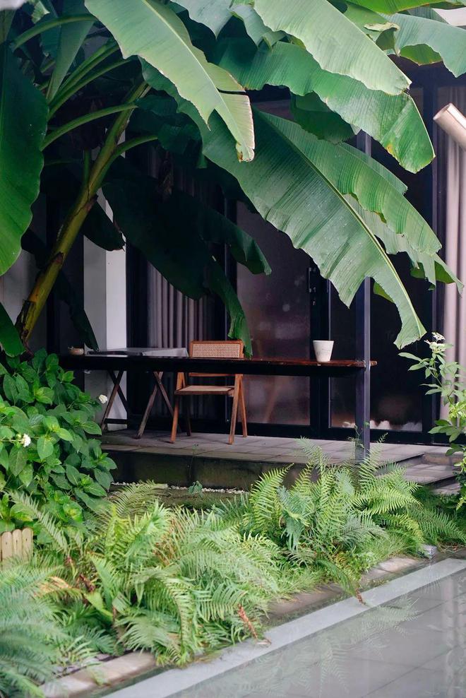 崇州「村咖指南」续AG真人娱乐网址(图6)