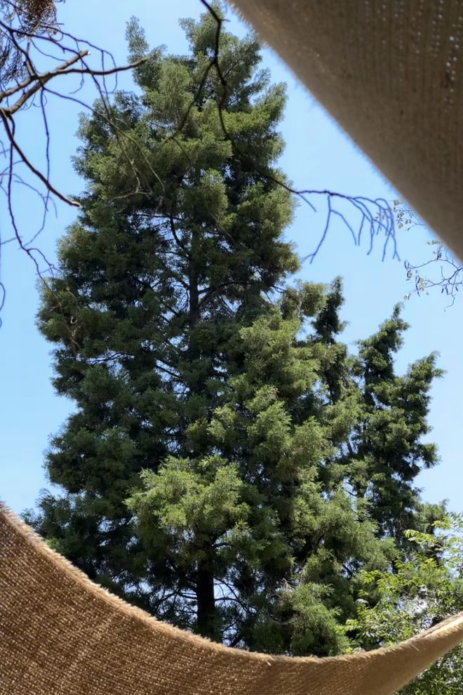 崇州「村咖指南」续AG真人娱乐网址(图13)