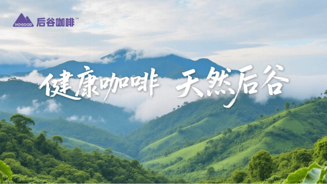 如何借助营销战略伙伴制定全国扩张方案？AG真人游戏平台7万亿投资来袭！品牌(图2)